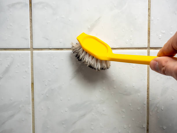 Best Residential Mold Remediation in Stateburg, SC