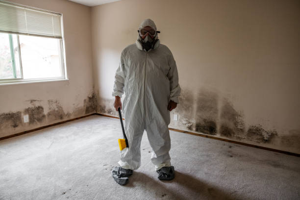 Best DIY Mold Remediation Support Services in Stateburg, SC